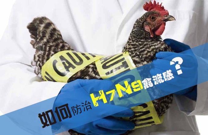 H7N9流感防控知識(shí)及檢測(cè)方法專(zhuān)題培訓(xùn)火熱報(bào)名中