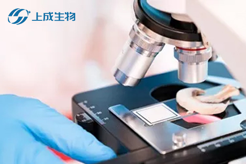 喜報(bào)，上成生物攜手荊州市四大檢測部門擬定食用農(nóng)產(chǎn)品快檢實(shí)驗(yàn)室建設(shè)運(yùn)行標(biāo)準(zhǔn)